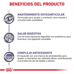 Royal Canin Nourriture Adult Large Dog -Trixie Soldes Magasin RC VET DRY DogADLD CV 4 es ES 62fcc38fcc941