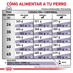 Royal Canin Nourriture Adult Large Dog -Trixie Soldes Magasin RC VET DRY DogADLD CV 6 es ES 62fcc3911985f