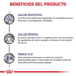 Royal Canin Nourriture Adult Small Dog -Trixie Soldes Magasin RC VET DRY DogADSD CV 4 es ES 62fcc3be764a4