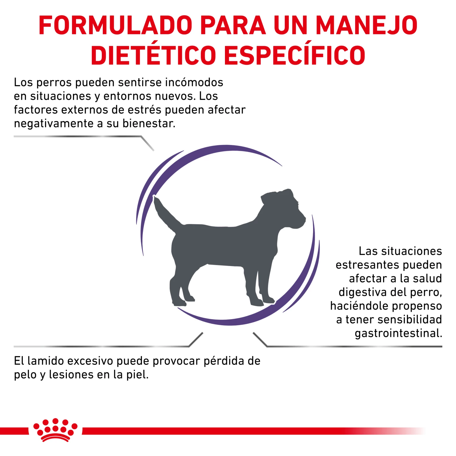 Royal Canin Calm 5 Royal Canin Calm – Image 3