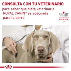 Royal Canin Nourriture Hypoallergenic DR21 Canine -Trixie Soldes Magasin RC VET DRY DogHypo CV Eretailkit 7 es ES 62fcbf198e7f4