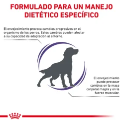 Royal Canin Nourriture Senior Consult Mature Dog 15 Royal Canin Nourriture Senior Consult Mature Dog -Trixie Soldes Magasin RC VET DRY DogMatCons CV 2 es ES 62fcc466a7231