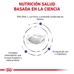 Royal Canin Nourriture Senior Consult Mature Dog 16 Royal Canin Nourriture Senior Consult Mature Dog -Trixie Soldes Magasin RC VET DRY DogMatCons CV 3 es ES 62fcc467dc81a