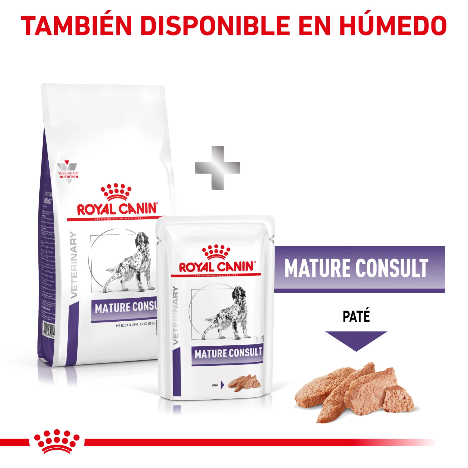 Royal Canin Nourriture Senior Consult Mature Dog 11 Royal Canin Nourriture Senior Consult Mature Dog – Image 9