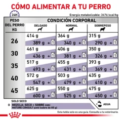 Royal Canin Nourriture Senior Consult Mature Large Dog -Trixie Soldes Magasin RC VET DRY DogMatConsLD CV 6 es ES 62fcc49044352
