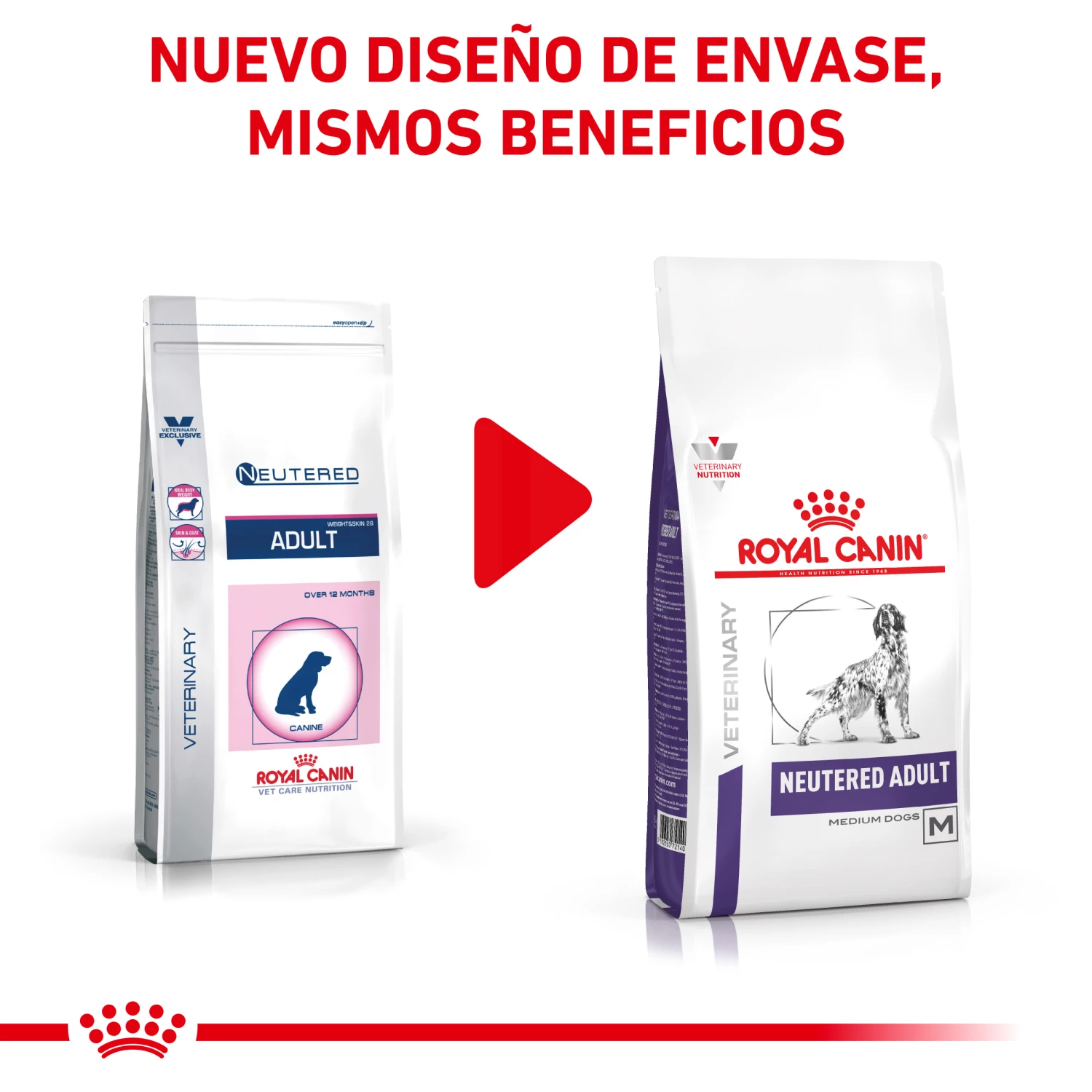 Royal Canin Nourriture Neutered Adult Medium Dog 4 Royal Canin Nourriture Neutered Adult Medium Dog – Image 2