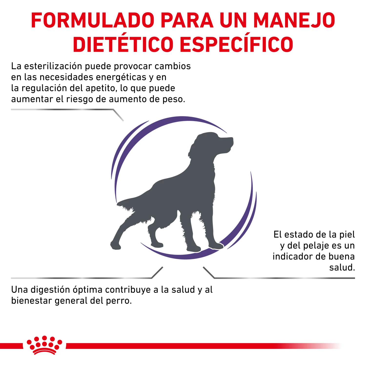 Royal Canin Nourriture Neutered Adult Medium Dog 5 Royal Canin Nourriture Neutered Adult Medium Dog – Image 3