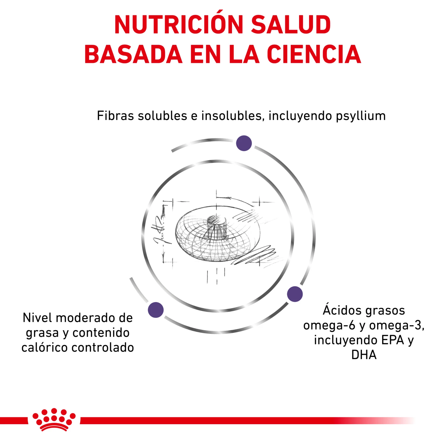 Royal Canin Nourriture Neutered Adult Medium Dog 6 Royal Canin Nourriture Neutered Adult Medium Dog – Image 4