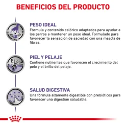 Royal Canin Nourriture Neutered Adult Medium Dog 15 Royal Canin Nourriture Neutered Adult Medium Dog -Trixie Soldes Magasin RC VET DRY DogNeutAD CV 4 es ES 62fcc4dded3fc