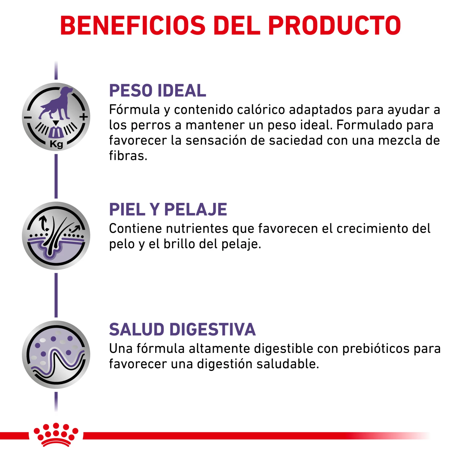 Royal Canin Nourriture Neutered Adult Medium Dog 7 Royal Canin Nourriture Neutered Adult Medium Dog – Image 5