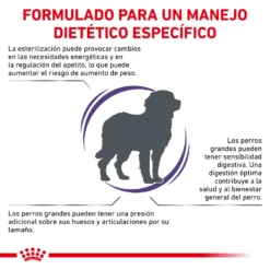 Royal Canin Tourteau NeuteFilet Adult Large Dog 15 Royal Canin Tourteau NeuteFilet Adult Large Dog -Trixie Soldes Magasin RC VET DRY DogNeutADLD CV 2 es ES 62fcc5002583a