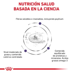 Royal Canin Tourteau NeuteFilet Adult Large Dog 16 Royal Canin Tourteau NeuteFilet Adult Large Dog -Trixie Soldes Magasin RC VET DRY DogNeutADLD CV 3 es ES 62fcc5013e340