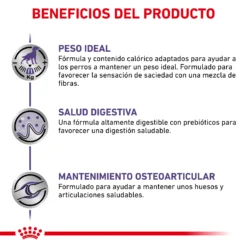 Royal Canin Tourteau NeuteFilet Adult Large Dog 17 Royal Canin Tourteau NeuteFilet Adult Large Dog -Trixie Soldes Magasin RC VET DRY DogNeutADLD CV 4 es ES 62fcc50243f86