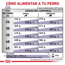 Royal Canin Tourteau NeuteFilet Adult Large Dog 18 Royal Canin Tourteau NeuteFilet Adult Large Dog -Trixie Soldes Magasin RC VET DRY DogNeutADLD CV 6 es ES 62fcc50354d76