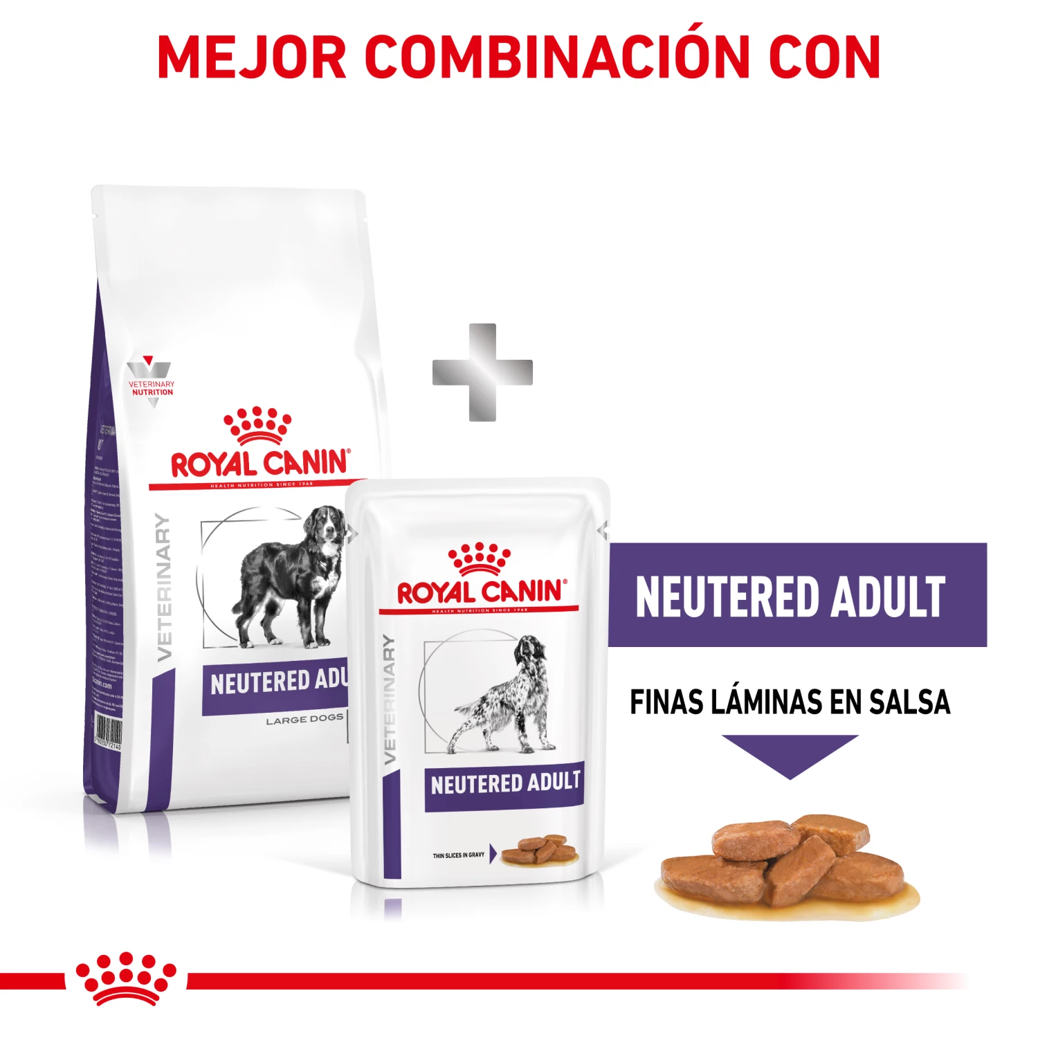 Royal Canin Tourteau NeuteFilet Adult Large Dog 11 Royal Canin Tourteau NeuteFilet Adult Large Dog – Image 9