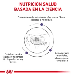 Royal Canin Tourteau Neutered Junior Large Dog -Trixie Soldes Magasin RC VET DRY DogNeutJULD CV 3 es ES 62fcc573b6332