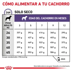 Royal Canin Tourteau Neutered Junior Large Dog -Trixie Soldes Magasin RC VET DRY DogNeutJULD CV 6 es ES 62fcc575c758a