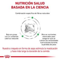 Royal Canin Nourriture Satiety Support Canine 16 Royal Canin Nourriture Satiety Support Canine -Trixie Soldes Magasin RC VET DRY DogSatietyWM CV Eretailkit 3 es ES 62fcdea11aa74