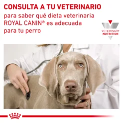 Royal Canin Nourriture Satiety Support Canine 20 Royal Canin Nourriture Satiety Support Canine -Trixie Soldes Magasin RC VET DRY DogSatietyWM CV Eretailkit 8 es ES 62fcdea986787