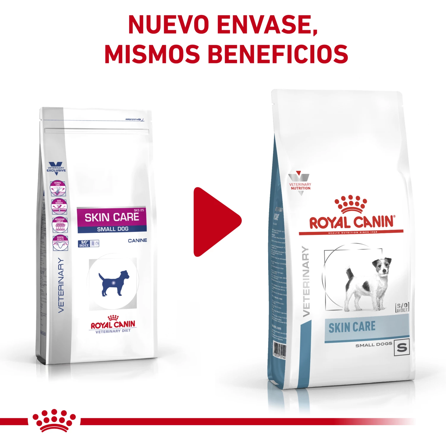 Royal Canin Nourriture Skin Care Adult Small Dog 5 Royal Canin Nourriture Skin Care Adult Small Dog – Image 3