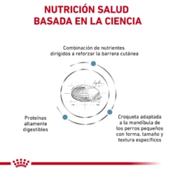 Royal Canin Nourriture Skin Care Adult Small Dog 15 Royal Canin Nourriture Skin Care Adult Small Dog -Trixie Soldes Magasin RC VET DRY DogSkinCareSD CV Eretailkit 2 es ES 62fcc0693fd1b