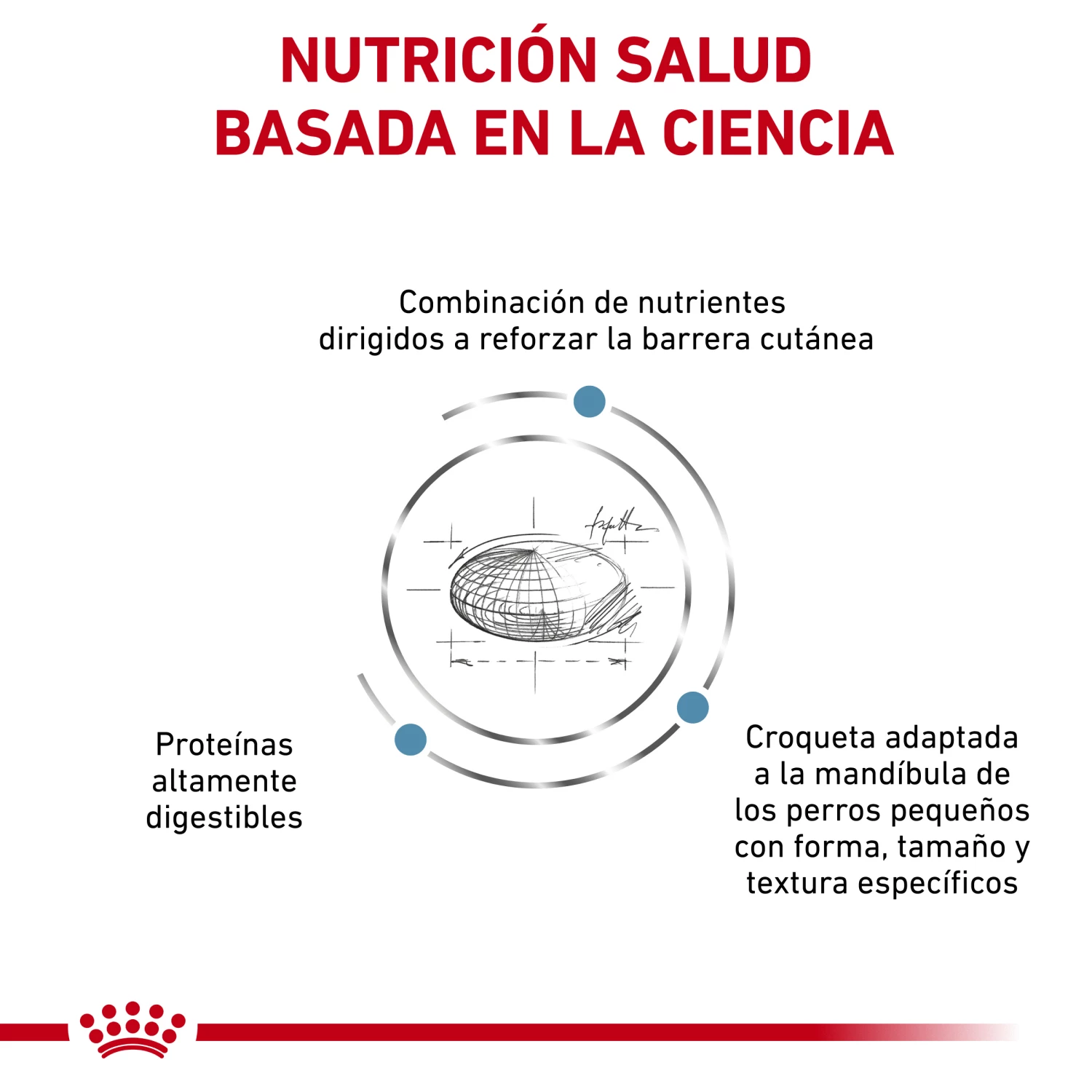 Royal Canin Nourriture Skin Care Adult Small Dog 6 Royal Canin Nourriture Skin Care Adult Small Dog – Image 4