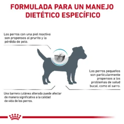 Royal Canin Nourriture Skin Care Adult Small Dog 20 Royal Canin Nourriture Skin Care Adult Small Dog -Trixie Soldes Magasin RC VET DRY DogSkinCareSD CV Eretailkit 8 es ES 62fcc07081129