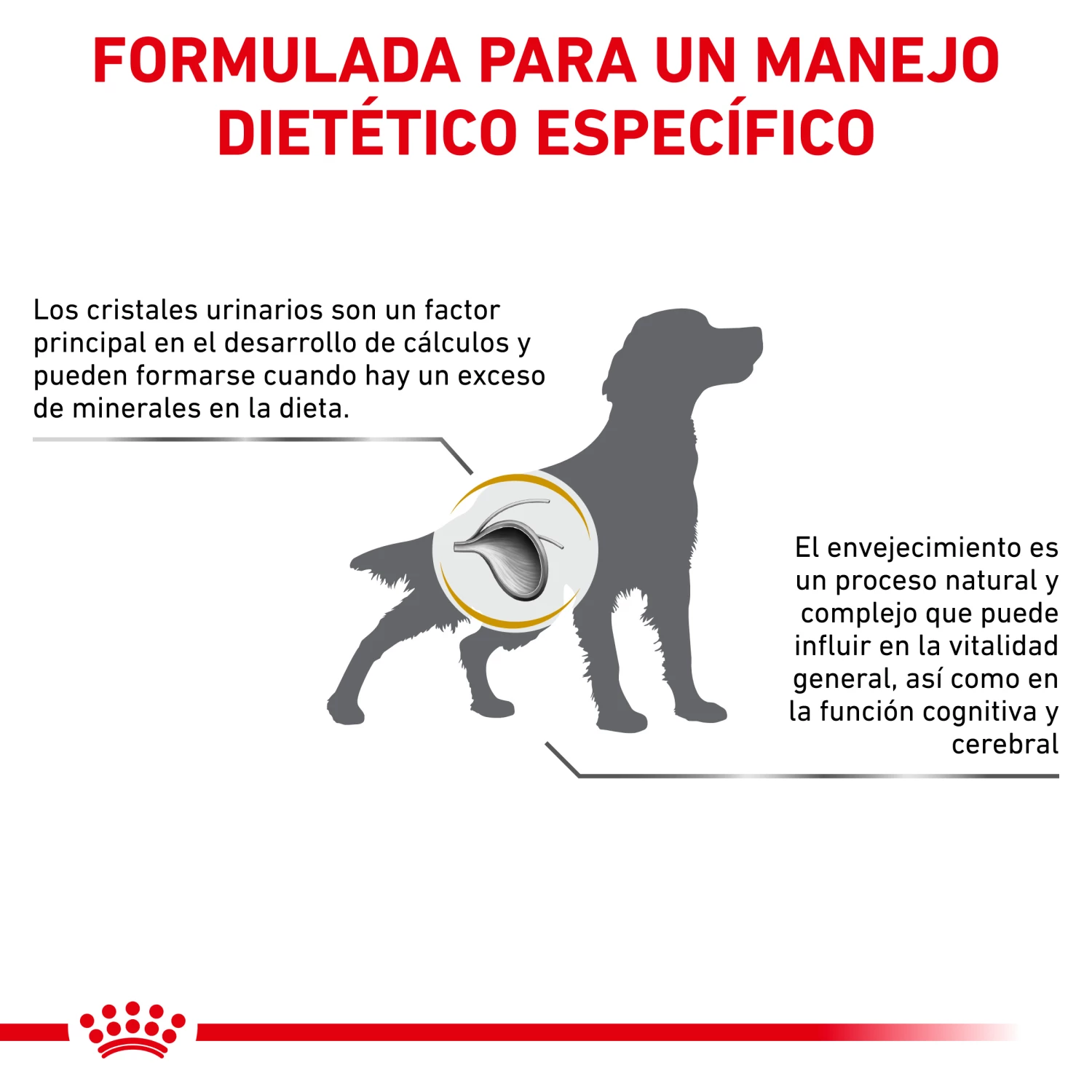 Royal Canin Vhn Dog Urinary Ageing+7 11 Royal Canin Vhn Dog Urinary Ageing+7 – Image 9