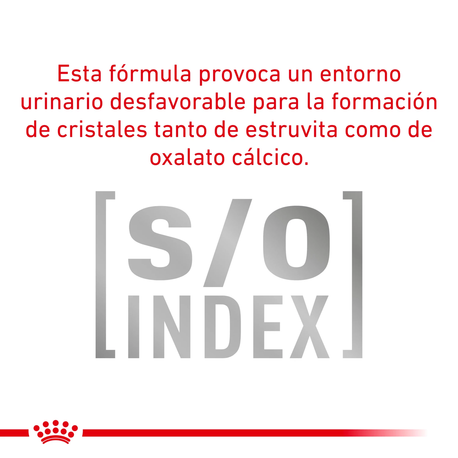 Royal Canin Nourriture Urinary S/O Moderate Calorie 12 Royal Canin Nourriture Urinary S/O Moderate Calorie – Image 10