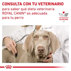 Royal Canin Nourriture Urinary S/O Moderate Calorie 19 Royal Canin Nourriture Urinary S/O Moderate Calorie -Trixie Soldes Magasin RC VET DRY DogUrinarySOMC CV Eretailkit 7 es ES 62fcc703134c2