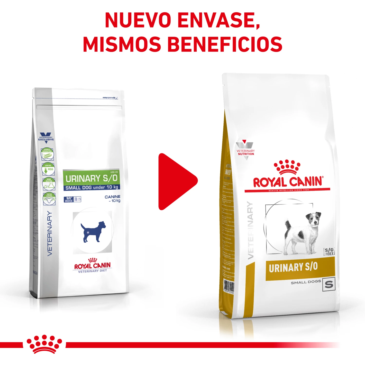 Royal Canin Nourriture Urinary S/O Small Dog 4 Royal Canin Nourriture Urinary S/O Small Dog – Image 2