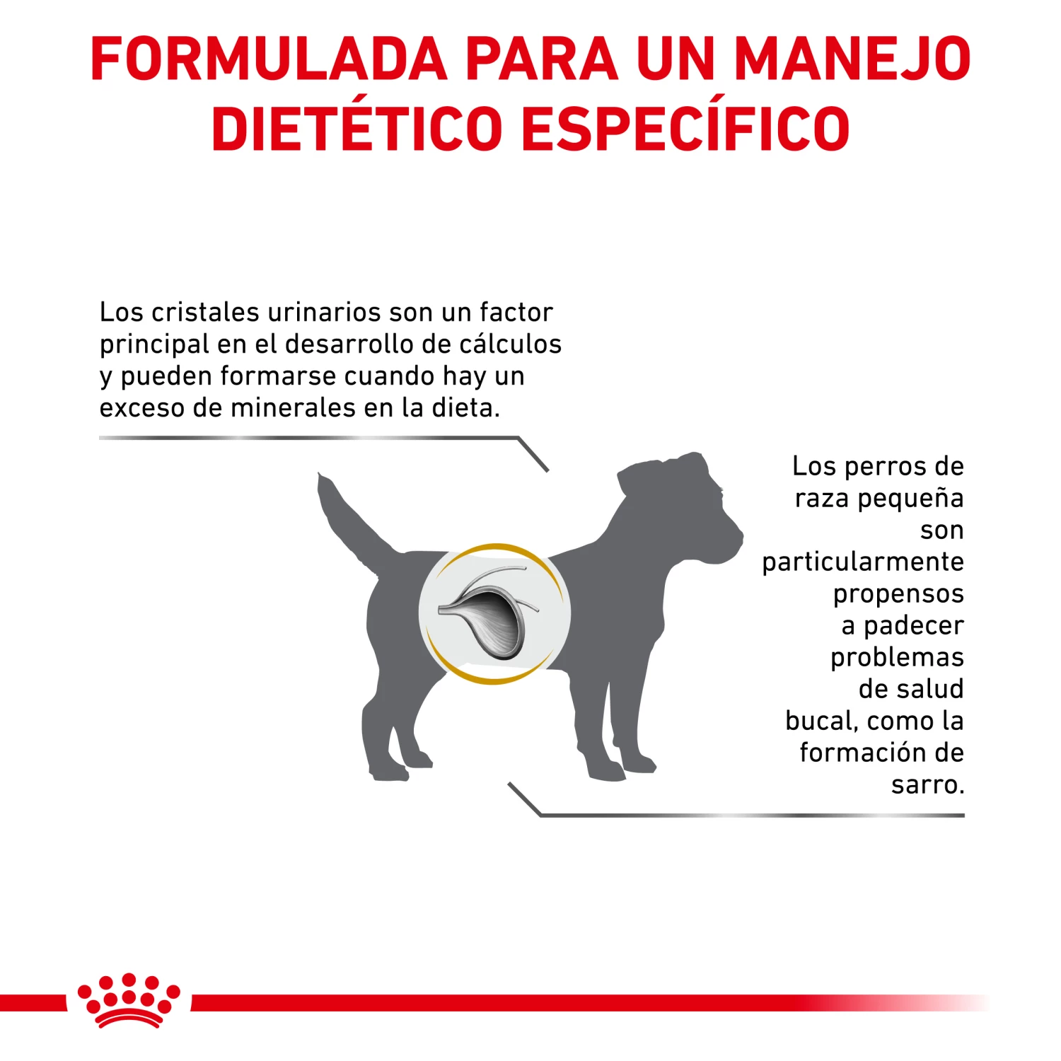 Royal Canin Nourriture Urinary S/O Small Dog 10 Royal Canin Nourriture Urinary S/O Small Dog – Image 8