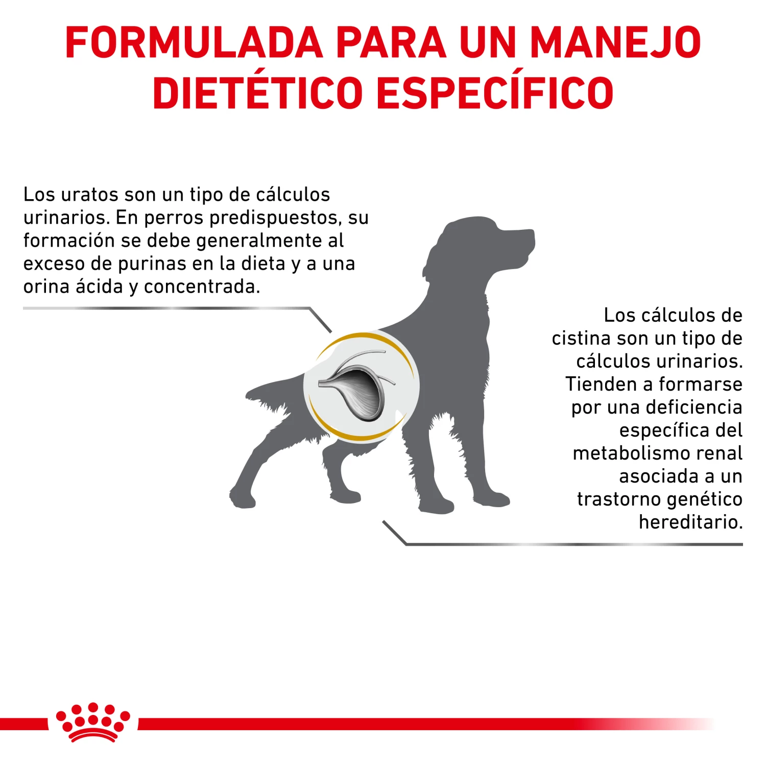 Royal Canin Nourriture Urinary U/C Low Purine 10 Royal Canin Nourriture Urinary U/C Low Purine – Image 8