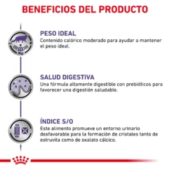 Royal Canin Neutered Adult Maintenance Feline -Trixie Soldes Magasin RC VET WET CatNeutBal CV 4 es ES 62fce4362e313