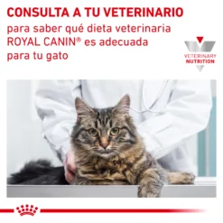 Royal Canin Comida Húmeda Satiety Weight Management Para Gato -Trixie Soldes Magasin RC VET WET CatSatietyWM TSIG CV Eretailkit 7 es ES 62fce8032cf7f