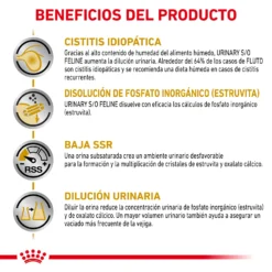 Royal Canin Nourriture Humide Urinary S/O Feline -Trixie Soldes Magasin RC VET WET CatUrinarySOCIG CV Eretailkit 2 es ES 62fce4e89f8d2