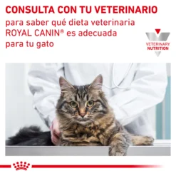 Royal Canin Vhn Urinary Urinary S/O Pate Wet Food -Trixie Soldes Magasin RC VET WET CatUrinarySOLOAF CV Eretailkit 6 es ES 62fce50eb4f25
