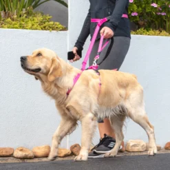 Rogz Courroie Handsfree Noir 5 Rogz Courroie Handsfree Noir -Trixie Soldes Magasin ROGZ UTILITY HANDSFREE LEAD LIFESTYLE 626ba28a98b9c