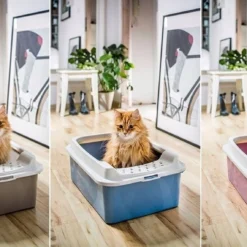 Rotho Bonnie Eco Cat Litter Tray Green -Trixie Soldes Magasin ROTHO kuweta dla kota BONNIE EAN GTIN 7610859232847 646b5fa96da37