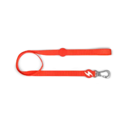 Dashi Laisse Solid Red