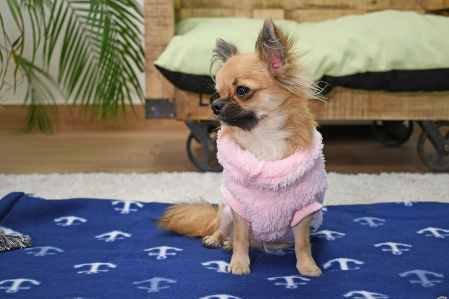 FuzzYard Turtle Teddy Sweatshirt Rose 12 FuzzYard Turtle Teddy Sweatshirt Rose – Image 10