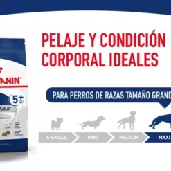 Royal Canin Maxi Adult Dog Food Pour Adultes Taille Grandes Races 18 Royal Canin Maxi Adult Dog Food Pour Adultes Taille Grandes Races -Trixie Soldes Magasin SHN Maxi Adult 6440028fbd47d