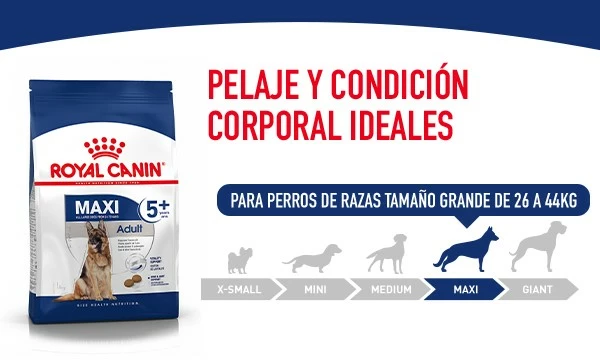 Royal Canin Maxi Adult Dog Food Pour Adultes Taille Grandes Races 10 Royal Canin Maxi Adult Dog Food Pour Adultes Taille Grandes Races – Image 8
