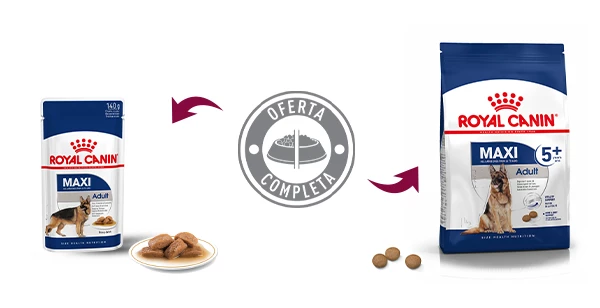 Royal Canin Maxi Adult Dog Food Pour Adultes Taille Grandes Races 11 Royal Canin Maxi Adult Dog Food Pour Adultes Taille Grandes Races – Image 9