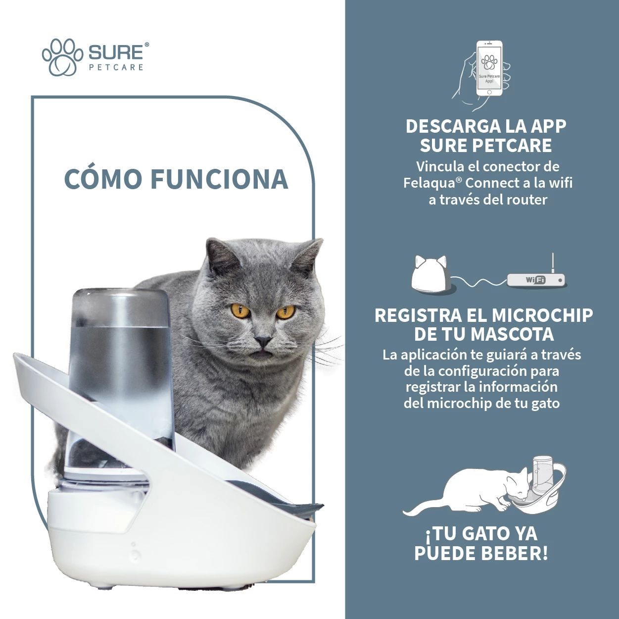 Sure Petcare Felaqua Connect 7 Sure Petcare Felaqua Connect – Image 5