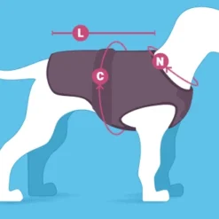 Red Dingo Puffer Buffer Jachet Pourpre Réversible -Trixie Soldes Magasin Size 63879bdb35253