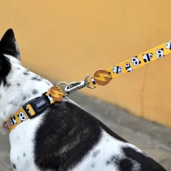 Dashi Laisse Snooze 8 Dashi Laisse Snooze -Trixie Soldes Magasin Snooze Lifestyle SiteLeash 2 624ab9a639600