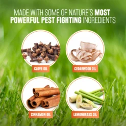 TropiClean Spray Naturel Contre Les Puces Et Les Tiques Pour Les Chiens Et Les Chats -Trixie Soldes Magasin Spray Natural Antiparasitarios para Perros y Gatos 1 6357eaa1be8cb