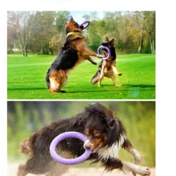 Collar Puller Jouet à Mâcher -Trixie Soldes Magasin Standard 62fe11234de86