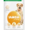 IAMS Tourteau Adult Pro Active Large Breed Riche En Poulet -Trixie Soldes Magasin T90002991 192613 1003x1500px 630494faa92c8